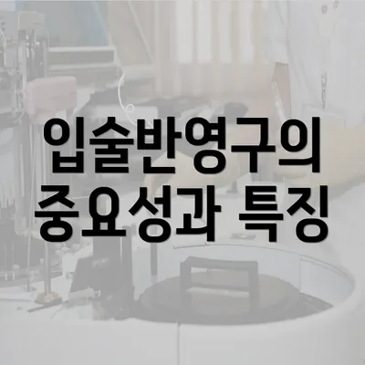 입술반영구의 중요성과 특징