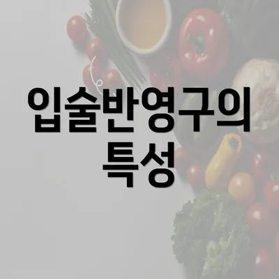 입술반영구의 특성