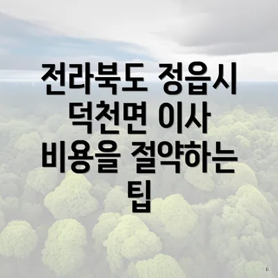 전라북도 정읍시 덕천면 이사 비용을 절약하는 팁