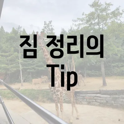 짐 정리의 Tip