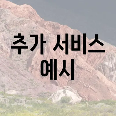 추가 서비스 예시