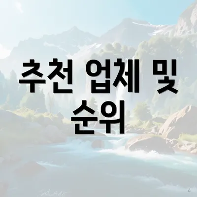 추천 업체 및 순위