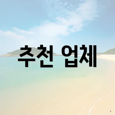 추천 업체