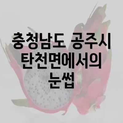 충청남도 공주시 탄천면에서의 눈썹