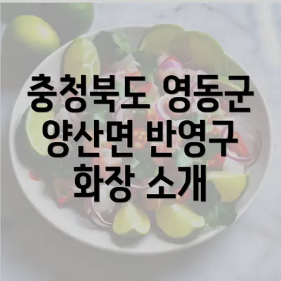 충청북도 영동군 양산면 반영구 화장 소개