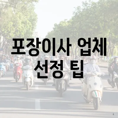 포장이사 업체 선정 팁