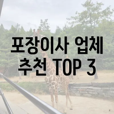 포장이사 업체 추천 TOP 3