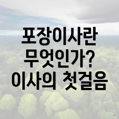 포장이사란 무엇인가? 이사의 첫걸음