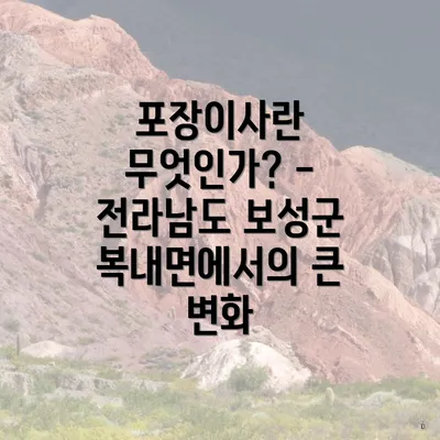 포장이사란 무엇인가? - 전라남도 보성군 복내면에서의 큰 변화