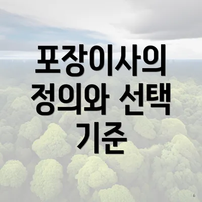 포장이사의 정의와 선택 기준