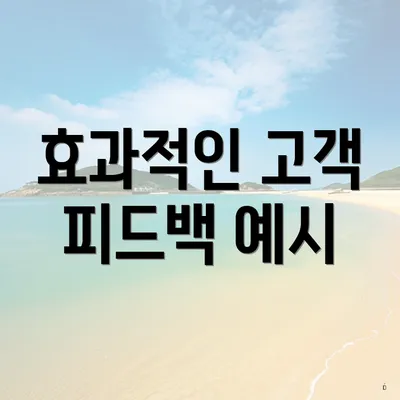 효과적인 고객 피드백 예시