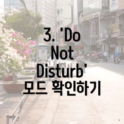 3. 'Do Not Disturb' 모드 확인하기