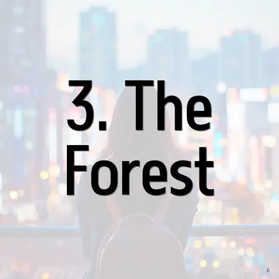 3. The Forest