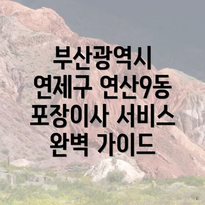 부산광역시 연제구 연산9동 포장이사 서비스 완벽 가이드