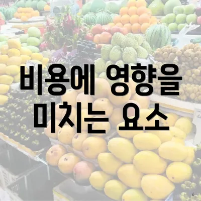 비용에 영향을 미치는 요소