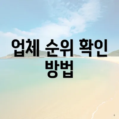 업체 순위 확인 방법