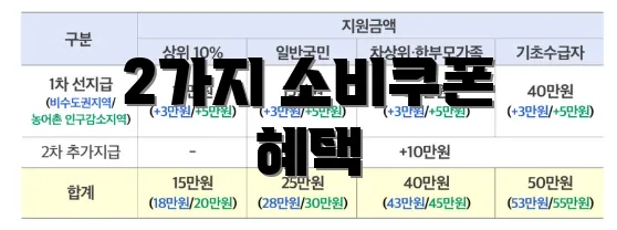 2가지 소비쿠폰 혜택
