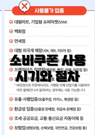 소비쿠폰 사용 시기와 절차