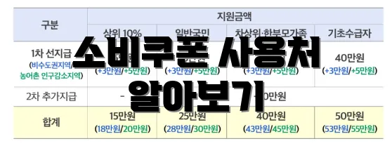 소비쿠폰 사용처 알아보기