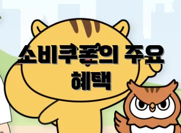 소비쿠폰의 주요 혜택