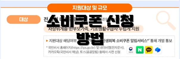 소비쿠폰 신청 방법