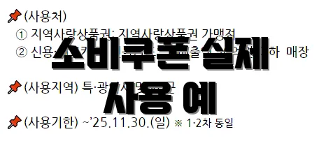소비쿠폰 실제 사용 예