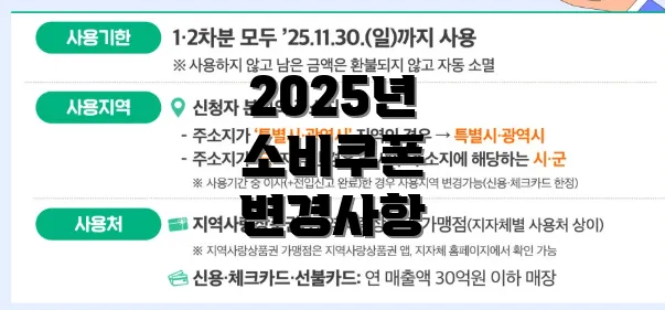 2025년 소비쿠폰 변경사항