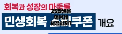 25만원은 어떻게 사용하지?