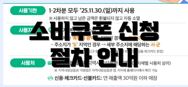 소비쿠폰 신청 절차 안내