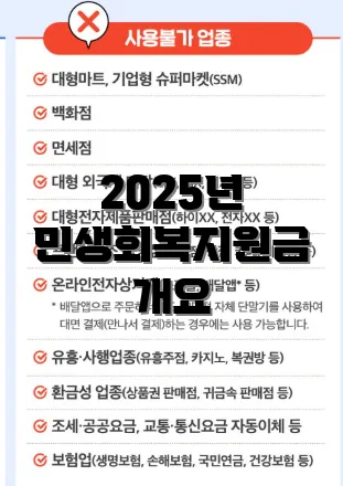 2025년 민생회복지원금 개요
