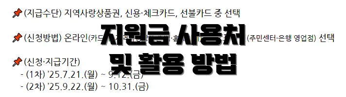 지원금 사용처 및 활용 방법