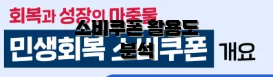 소비쿠폰 활용도 분석