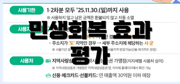 민생회복 효과 평가