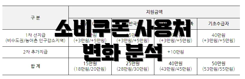 소비쿠폰 사용처 변화 분석