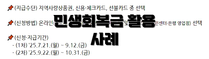 민생회복금 활용 사례