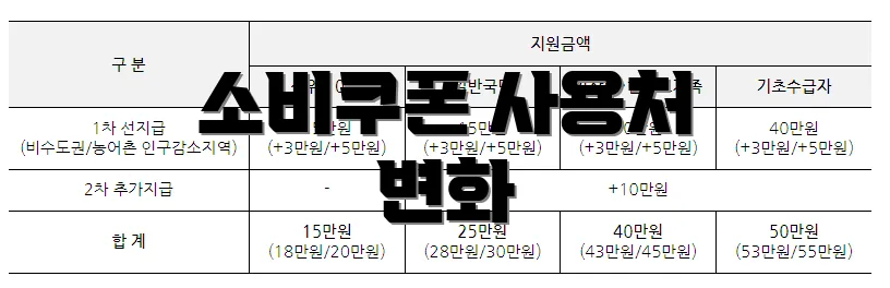 소비쿠폰 사용처 변화
