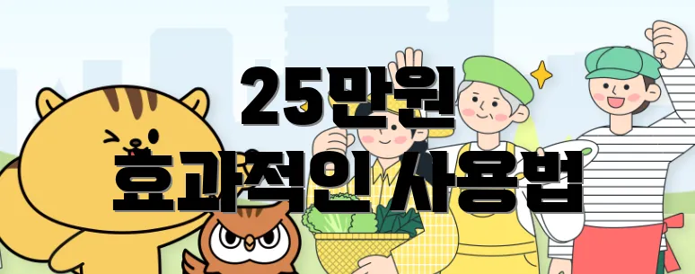 25만원 효과적인 사용법