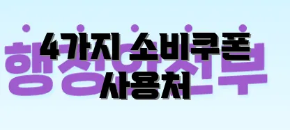 4가지 소비쿠폰 사용처