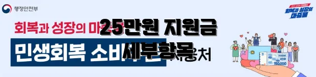 25만원 지원금 세부항목