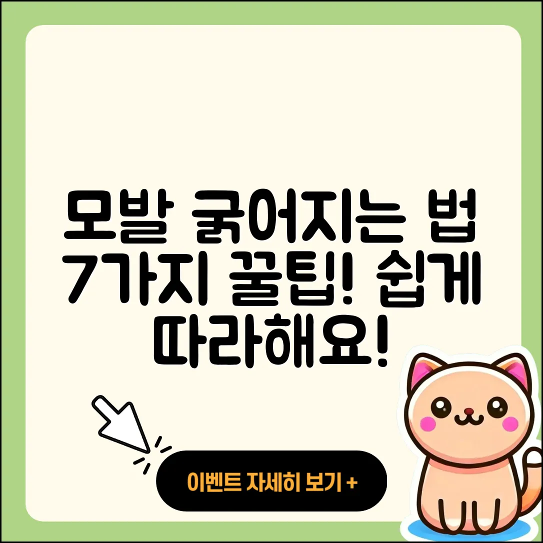 모발 굵어지는법 7가지 쉽게 따라하기